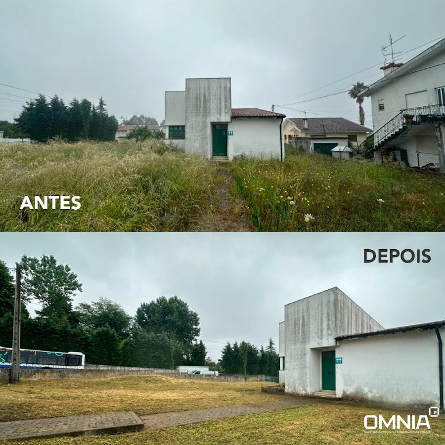 Omni Gaia - Manutenção Corretiva e Desmatamento de Espaço foto 8
