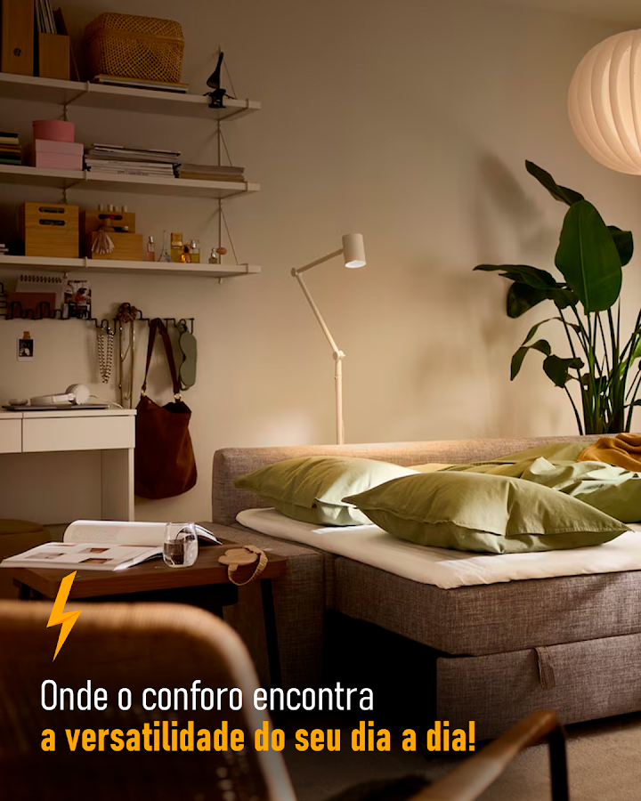 Apelordeiro foto 4