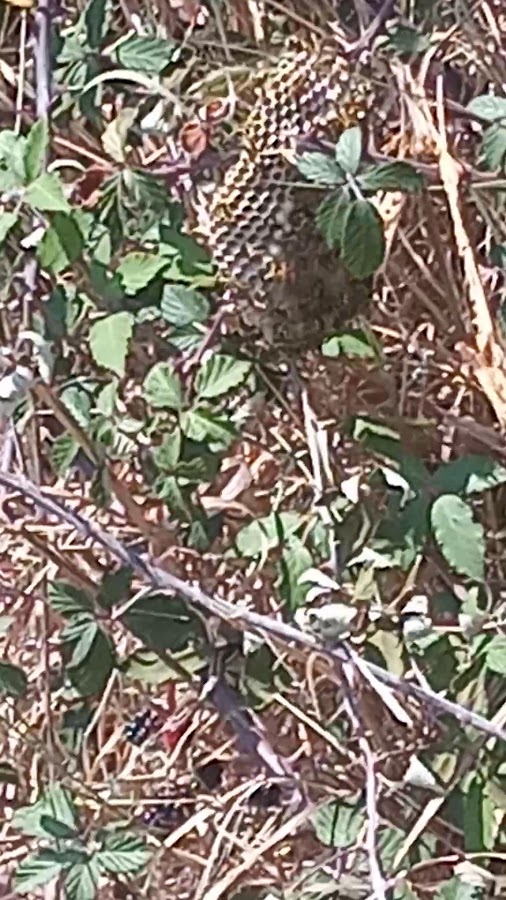 João & Oliveira, Lda