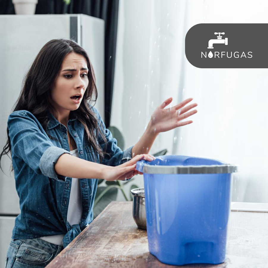 Norfugas - Deteção de Fugas de Água foto 2