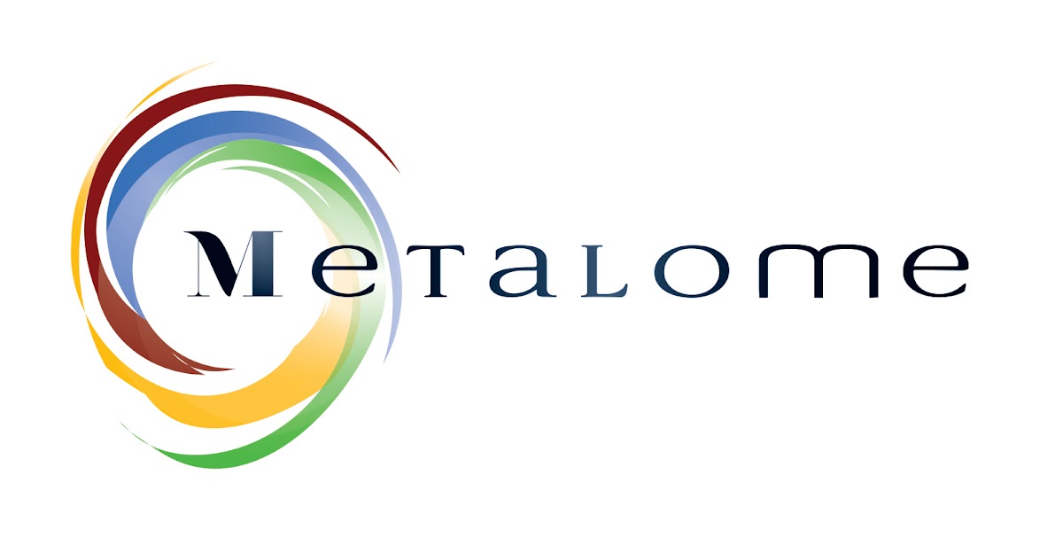Metalome Lda