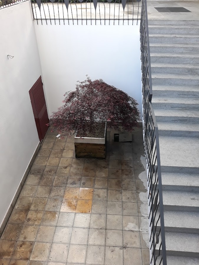 Baltor - Engenharia e Construção, Lda. foto 2